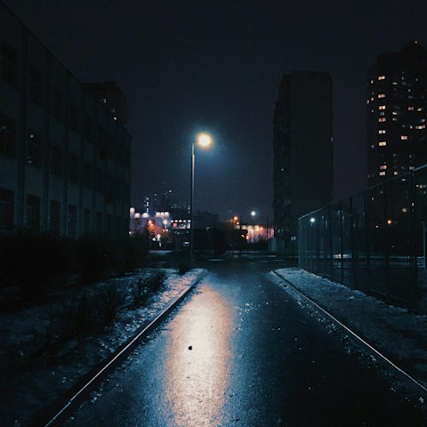Silent Snow cover